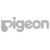 Picture for category Pigeon Picture for category Pigeon